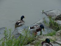 Wycieczka z rodzicami do Teplic nad Beczwą